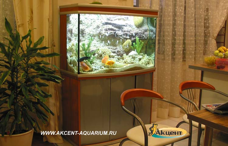 Акцент-аквариум,аквариум 300 литров с внутренним объемным фоном